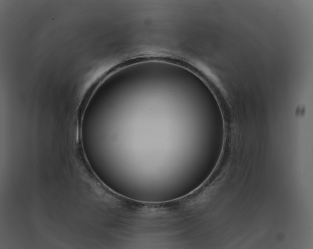 X0000092261269200710051312