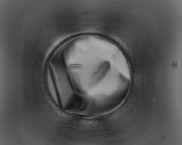 X0000092261270200710051312