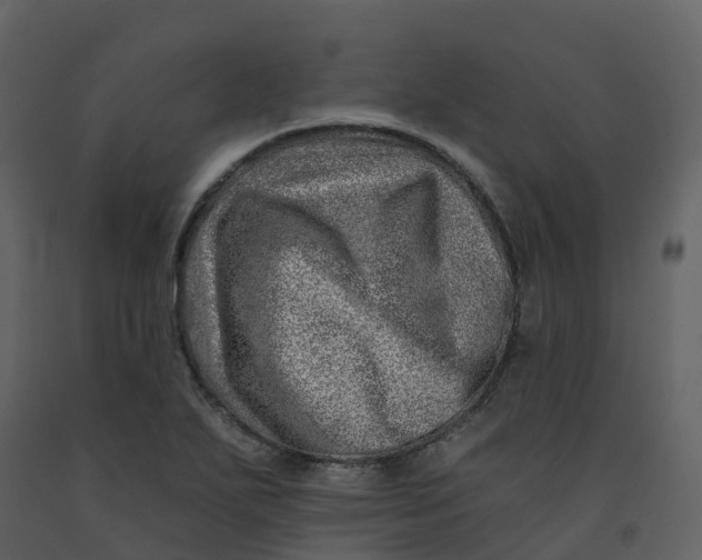 X0000092261271200710051312