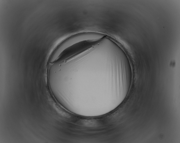 X0000092261272200710051312