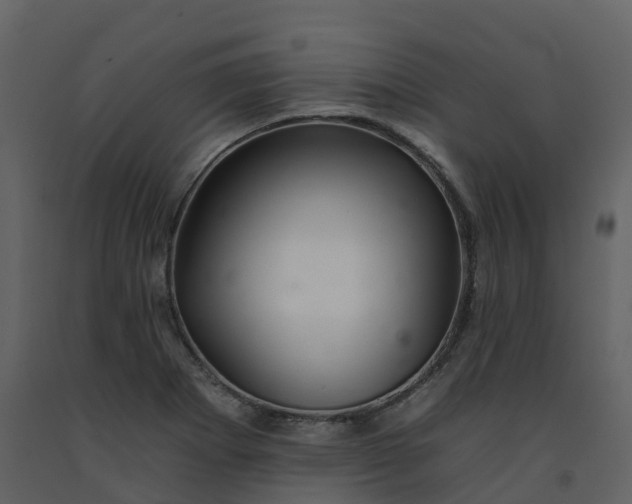 X0000092261273200710051312