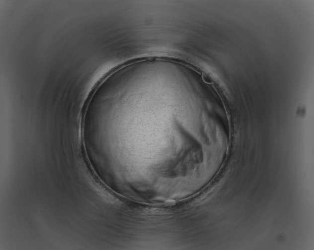 X0000092261275200710051312