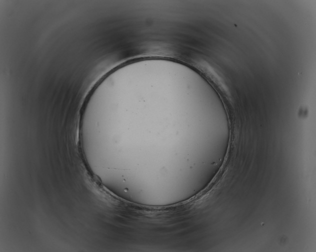 X0000092261276200710051312