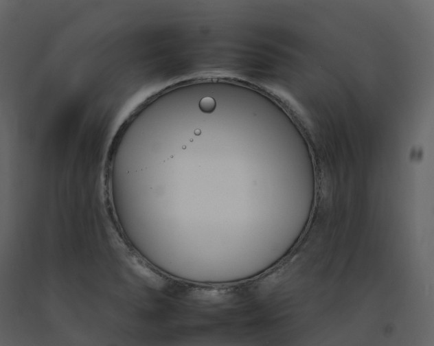 X0000092261278200710051312