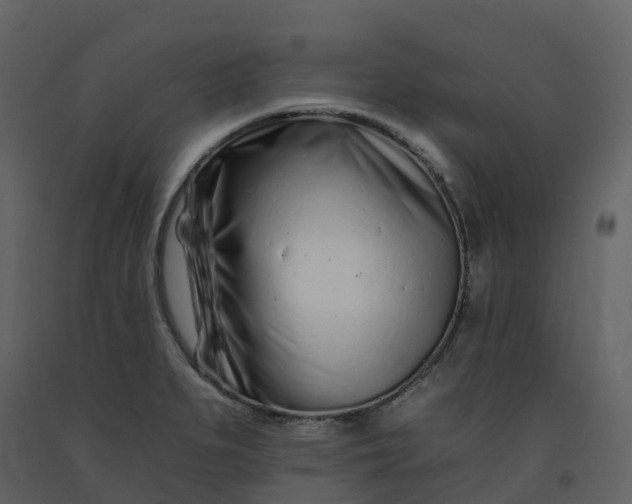 X0000092261279200710051312