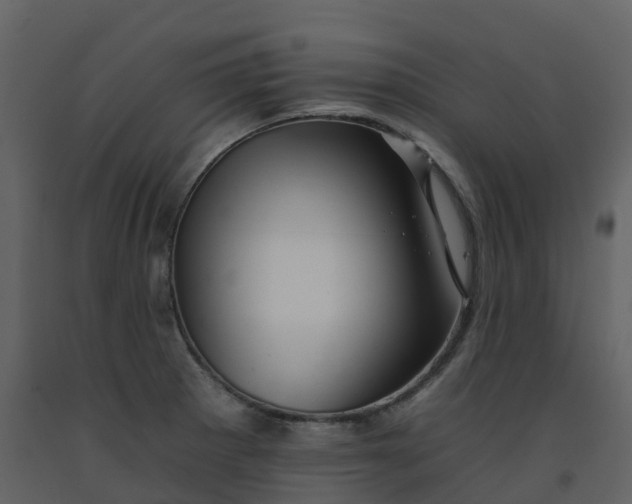 X0000092261281200710051312