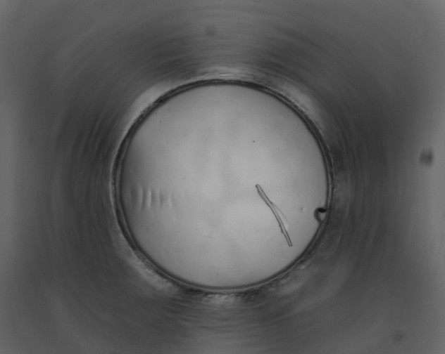 X0000092261283200710051312