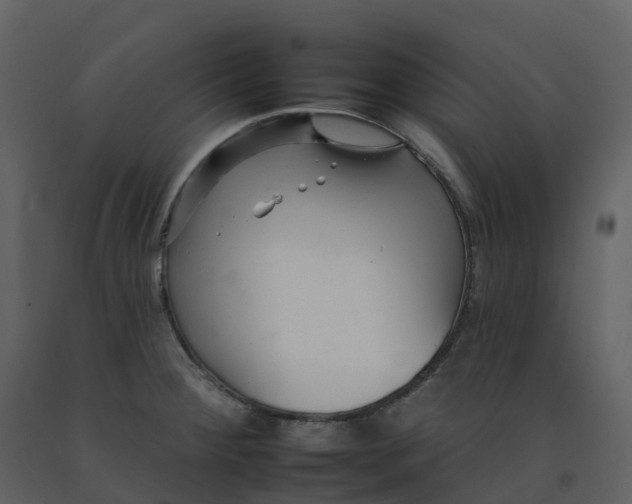 X0000092261284200710051312