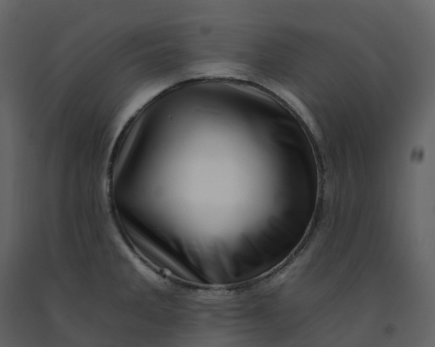 X0000092261285200710051312