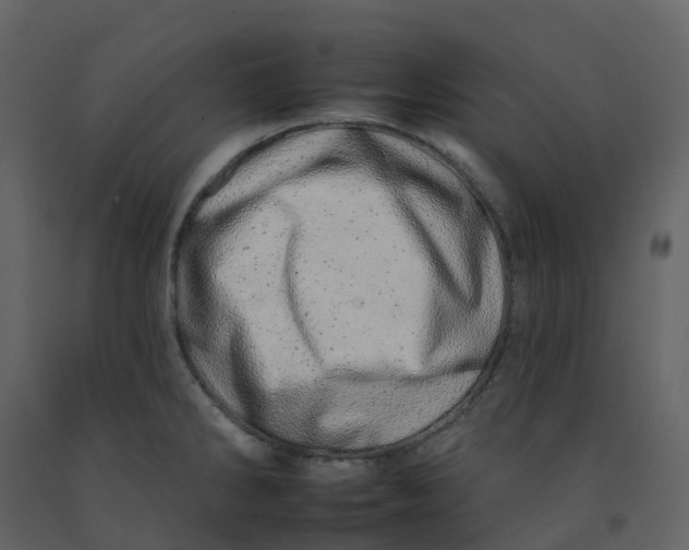 X0000092261286200710051312