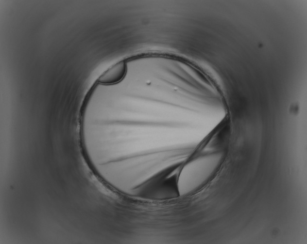 X0000092261287200710051312