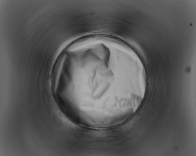 X0000092261288200710051312