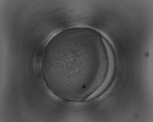 X0000092261289200710051312