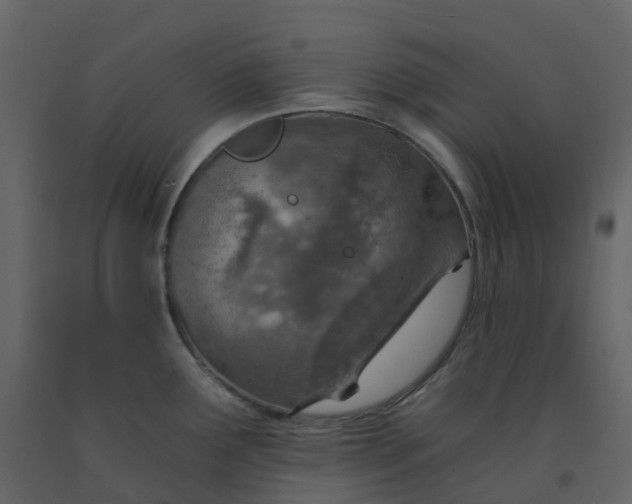 X0000092261291200710051312