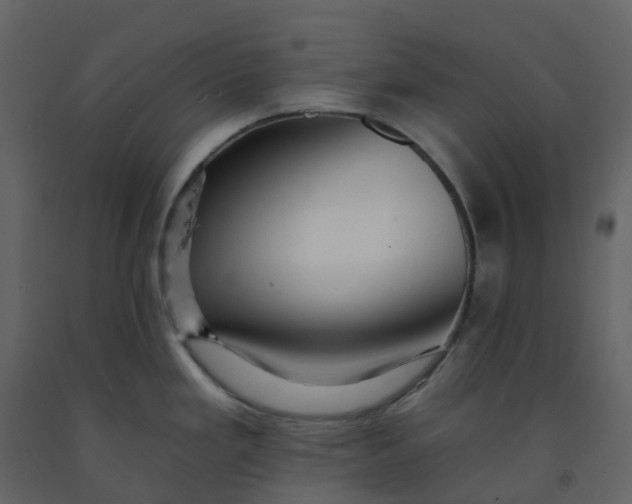 X0000092261293200710051312