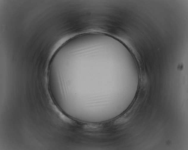 X0000092261294200710051312