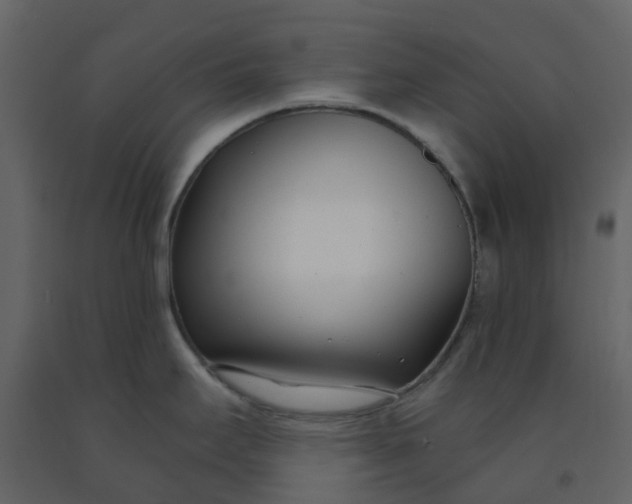 X0000092261295200710051312