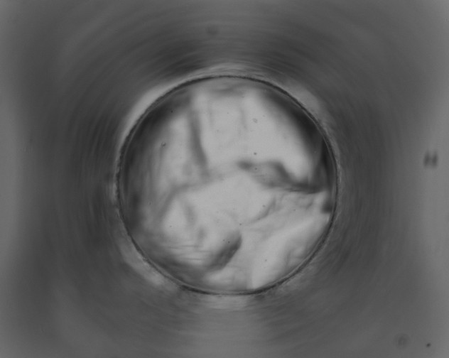 X0000092261296200710051312