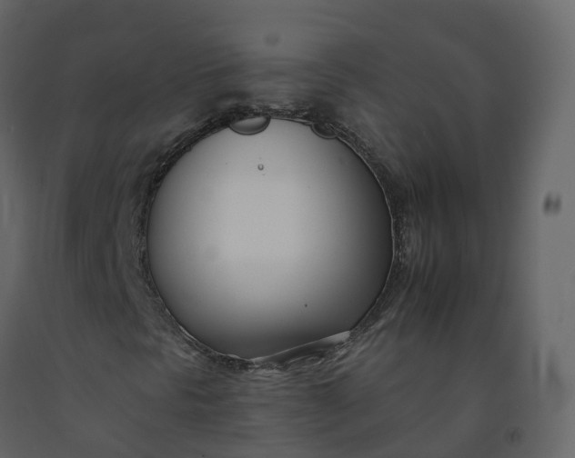 X0000092261297200710051311