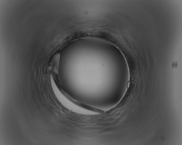 X0000092261298200710051311