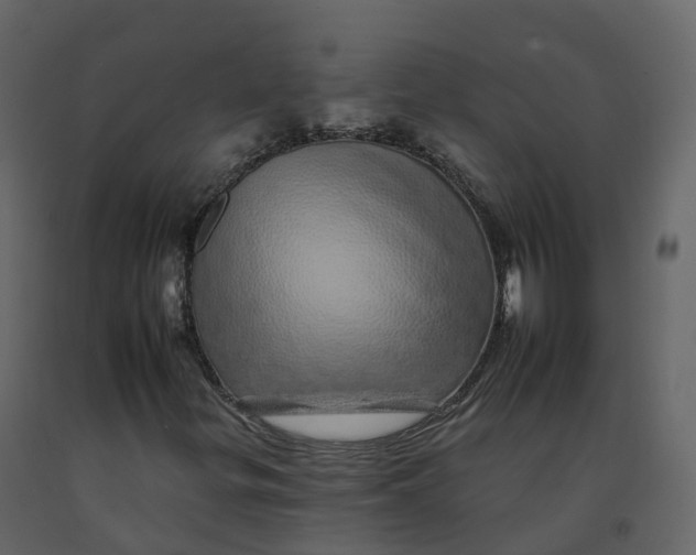 X0000092261299200710051311