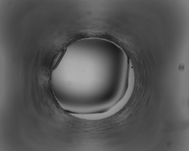 X0000092261300200710051311