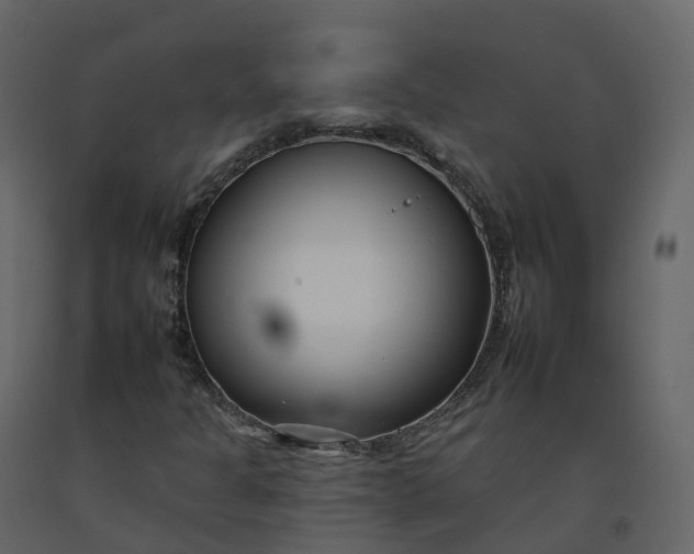 X0000092261301200710051311