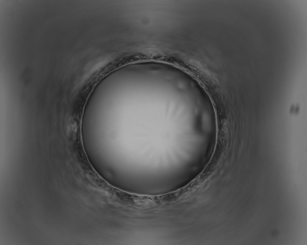 X0000092261302200710051311