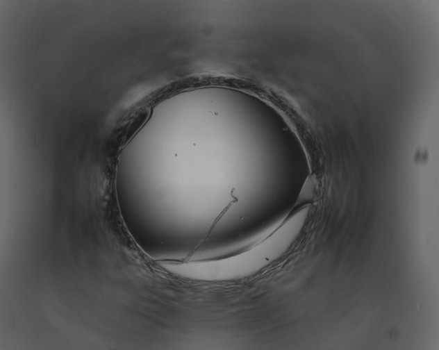 X0000092261303200710051311