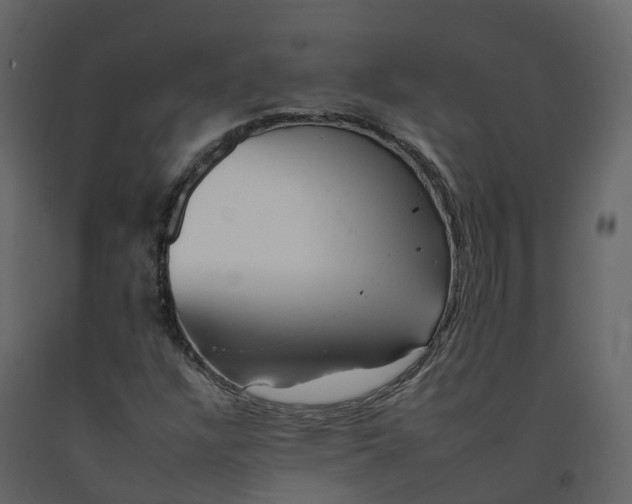 X0000092261304200710051311