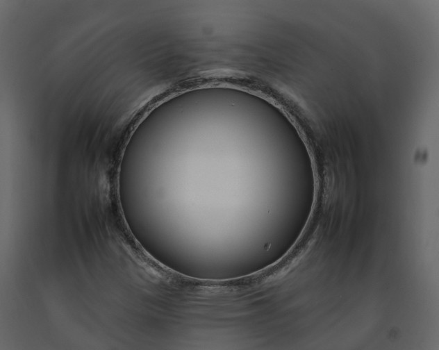 X0000092261305200710051311