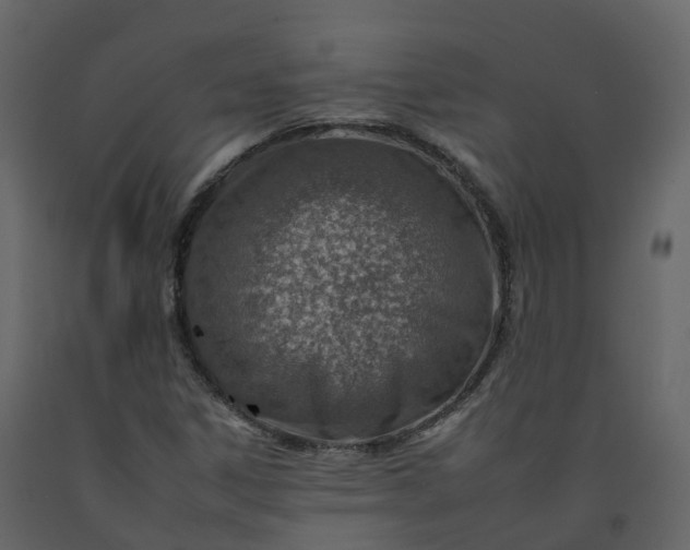 X0000092261306200710051311