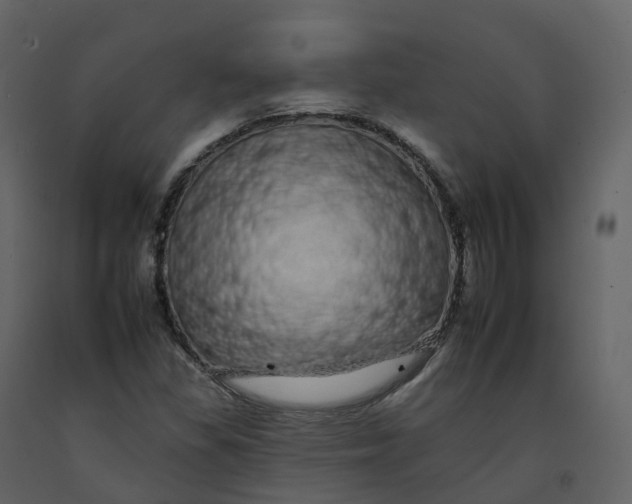 X0000092261309200710051311