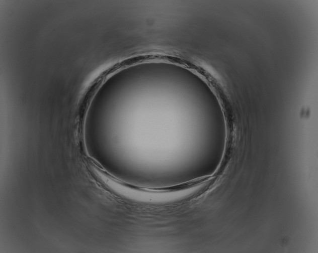 X0000092261310200710051311