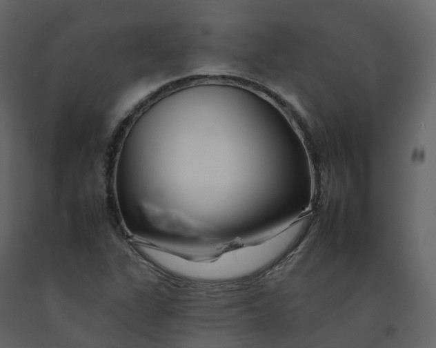 X0000092261311200710051311