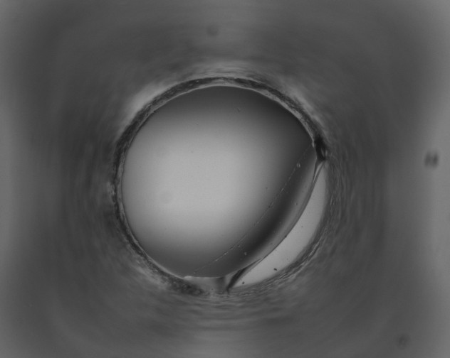 X0000092261312200710051311