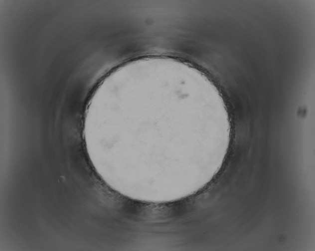 X0000092261314200710051311