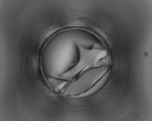 X0000092261315200710051311