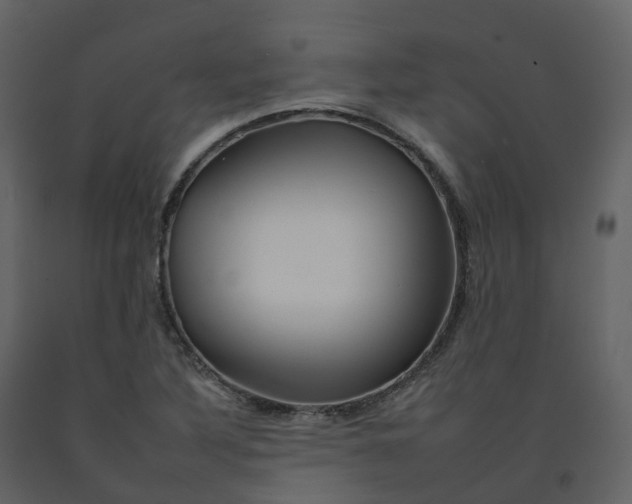 X0000092261316200710051311