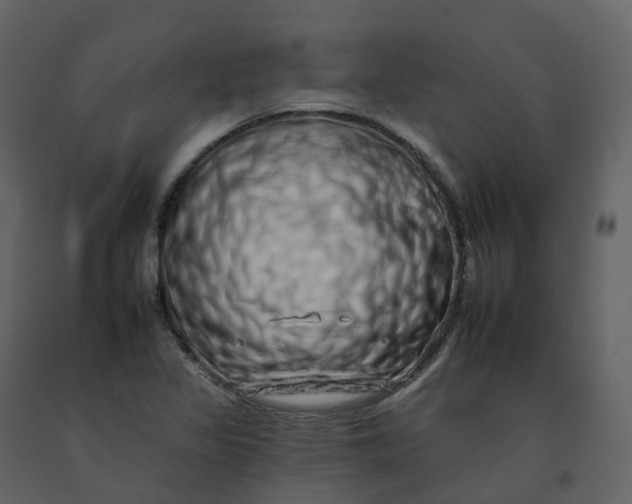 X0000092261317200710051311