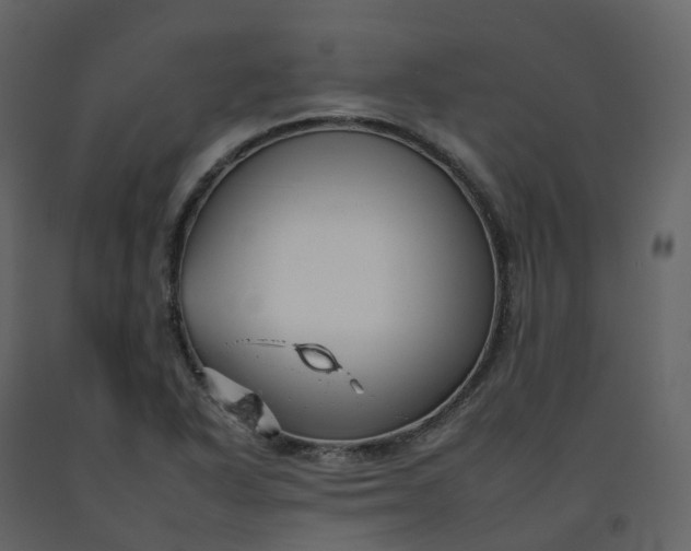 X0000092261318200710051311