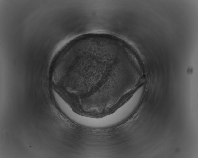 X0000092261319200710051311