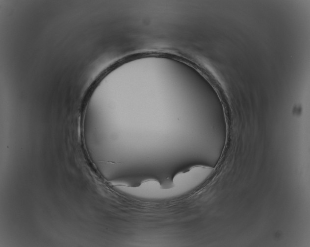 X0000092261320200710051311