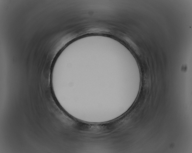 X0000092261322200710051312