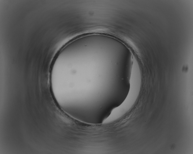 X0000092261324200710051312