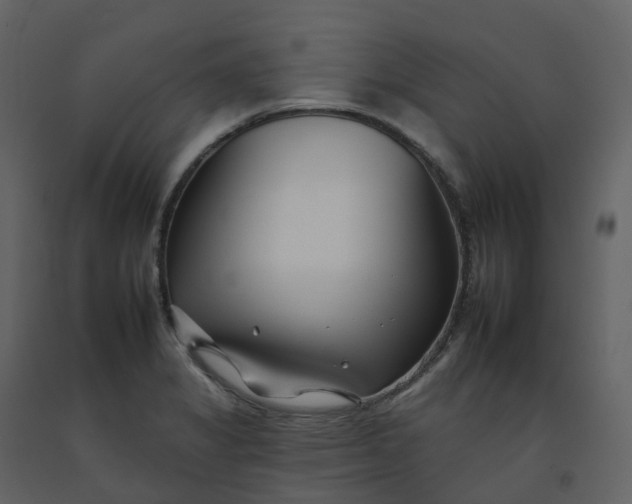 X0000092261325200710051312