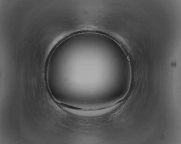 X0000092261326200710051312