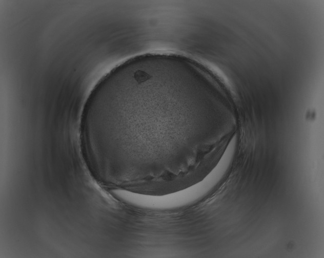 X0000092261327200710051312