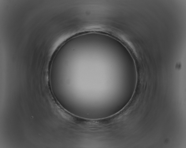 X0000092261328200710051312