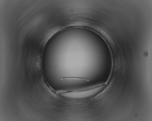 X0000092261329200710051312